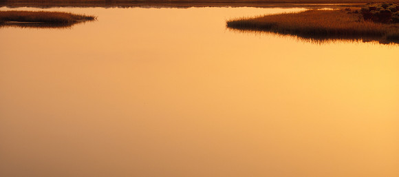 Low Country Marsh